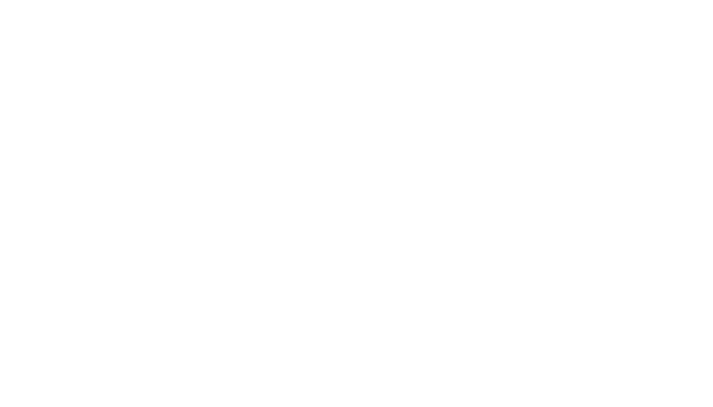 Ochoa's Painting Logo